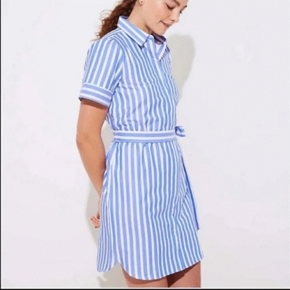 LOFT Dresses & Skirts - Loft blue & white button down waist tie short sleeve dress